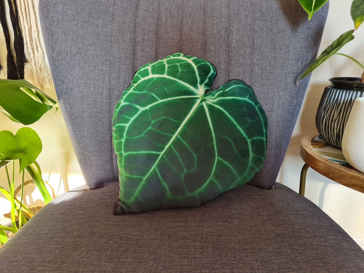 anthurium pillow Anthurium Clarinervium Velvet Leaf Pillow – the goods online